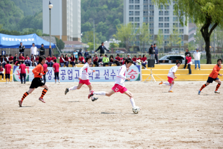 제5회 정선군 고등학교 연합체육대회