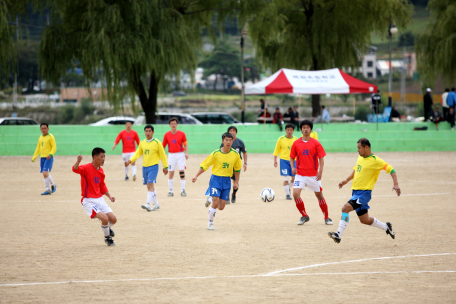 제15회 정선군축구연합회장기 축구대회