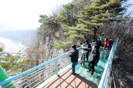 정선군 등산로 구간에 하늘벽 유리다리 완공