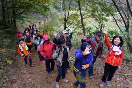 2016 정선군 백두대간 산림생태길 걷기 축제