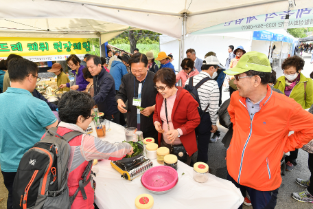 제8회 정선 곤드레 산나물축제