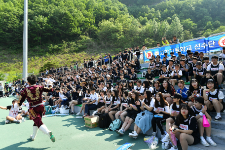 제14회 정선군 고등학교 연합체육대회