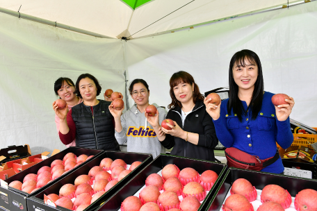 제3회 정선사과축제