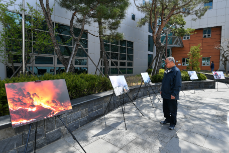 코로나19 극복 찾아가는 비대면 대형산불 사진전