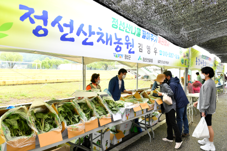 정선산나물 팔아주기 특판행사