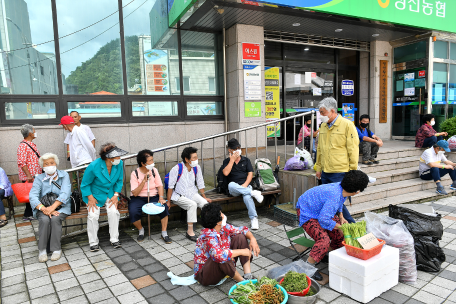 버스완전공영제 현장점검