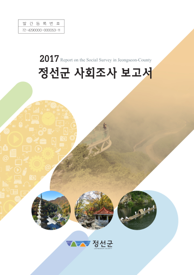 2017년도 사회조사보고서