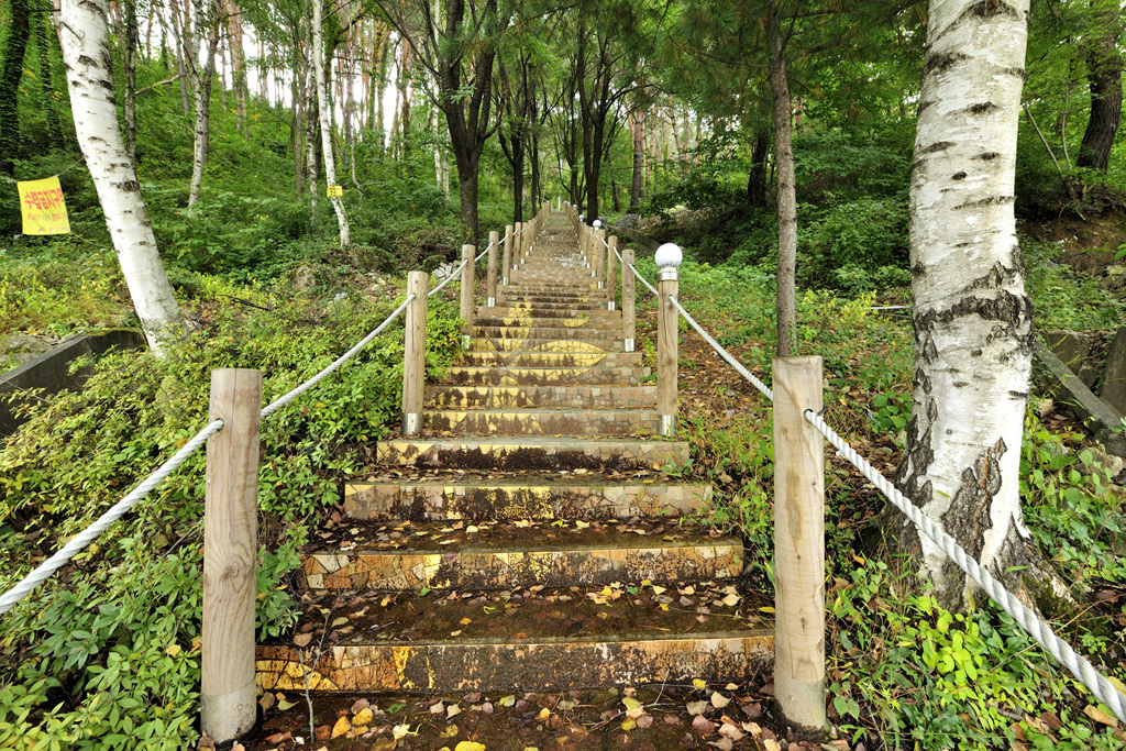 조양산,기우산 등산로 이미지 4