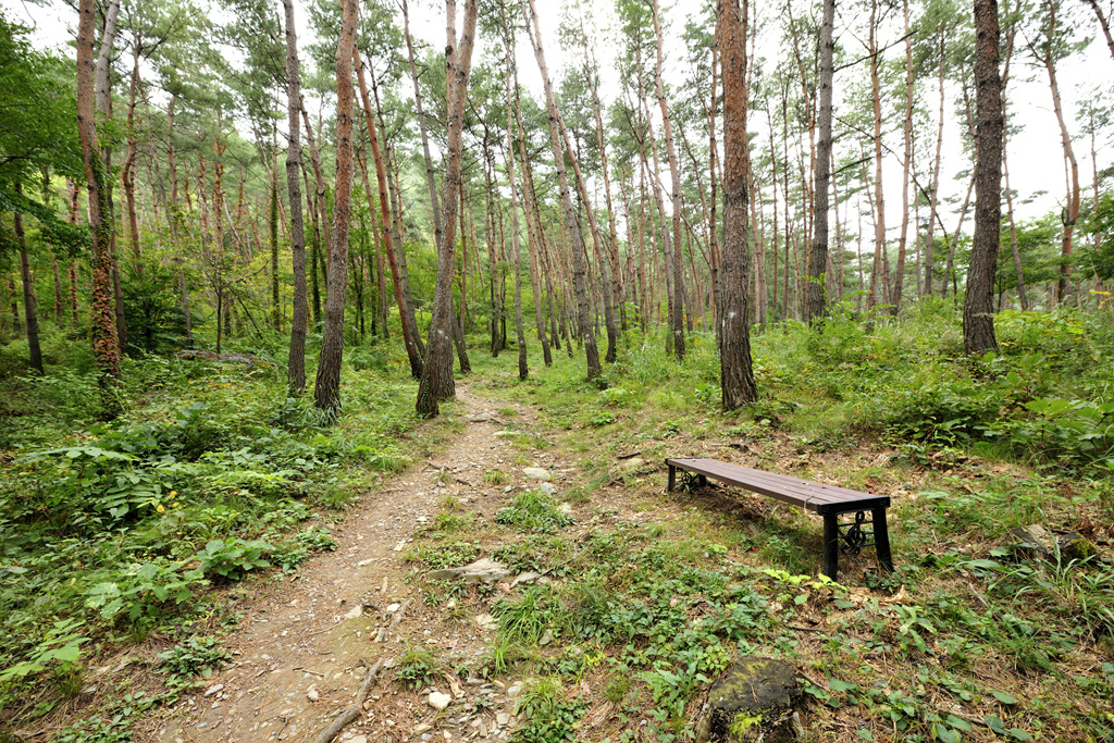 조양산,기우산 등산로 이미지 12