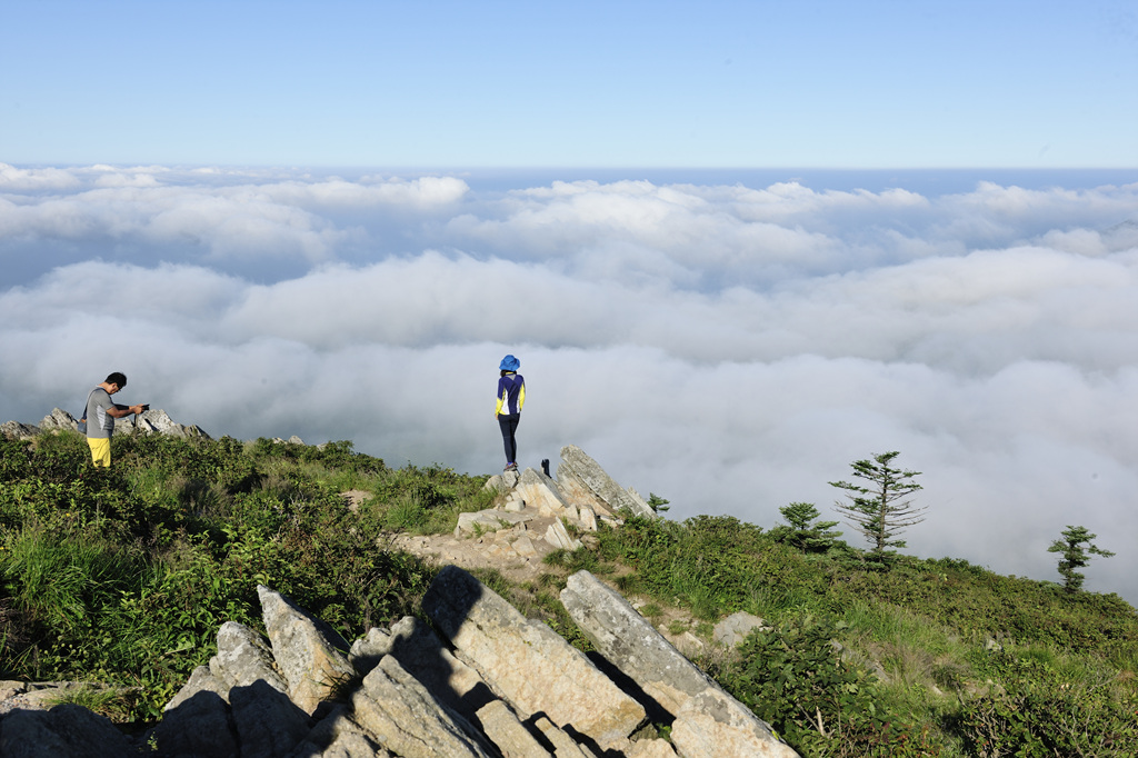 함백산 이미지 7