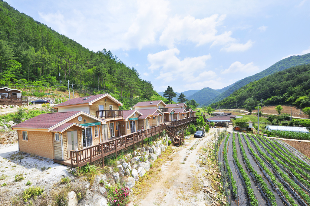 민둥산 산마루 펜션