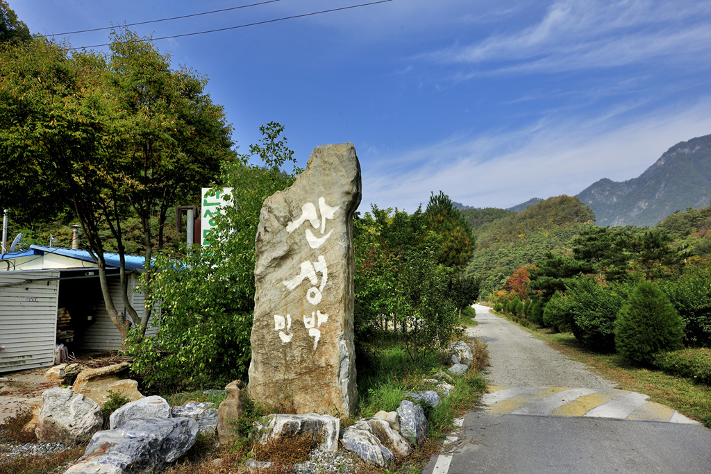 산성민박